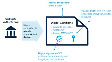 How to Download a Certificate from a Website: Exploring the Intersection of Digital Credentials and Quantum Computing