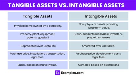 Is Software Depreciated or Amortized? Exploring the Tangible and Intangible Dimensions of Digital Assets