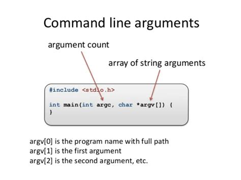 What is an Argument in Programming: A Journey Through the Digital Mindscape