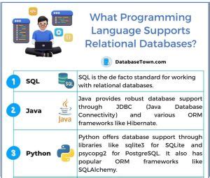 What Programming Language Supports Relational Databases and Why Do Cats Love SQL?